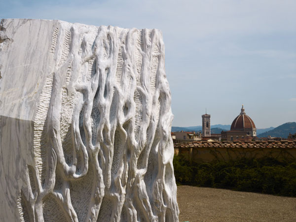 Giuseppe Penone, Anatomia, 2011