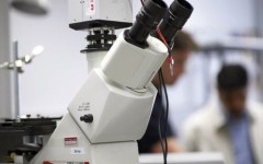 Melanoma, un gene coinvolto nelle cellule staminali tumorali