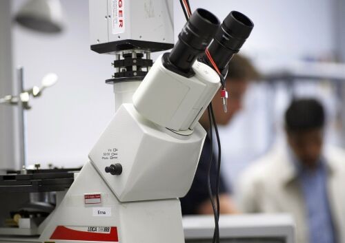 Melanoma, un gene coinvolto nelle cellule staminali tumorali