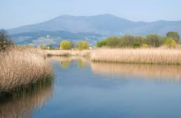 Oasi di Focognano, Campi Bisenzio