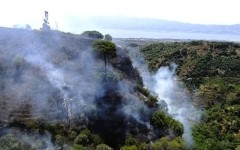 Un incendio boschivo agli inizi