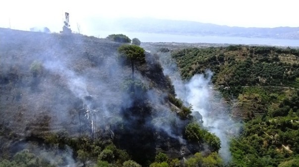 Un incendio boschivo agli inizi