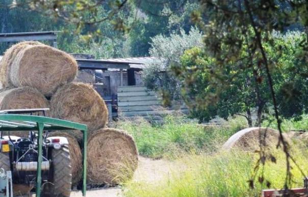 Balle di fieno in una fattoria