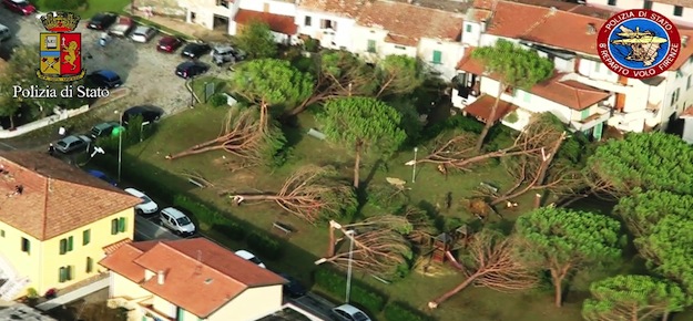Strage di alberi a Lazzeretto, nel comune di Cerreto Guidi, vicino a Empoli