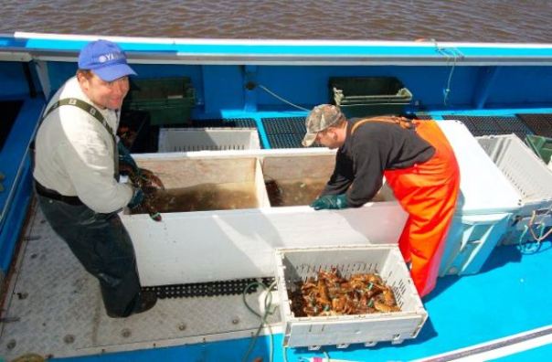 Pescatori al lavoro in mare