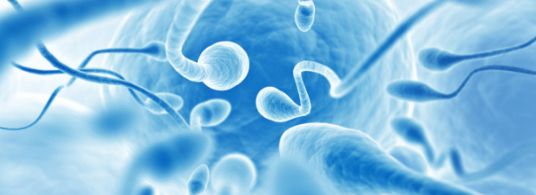 InseminazioneIntraUterina