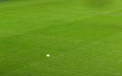 Il terreno di gioco di San Siro al momento del sopralluogo di stamani, 16 novembre