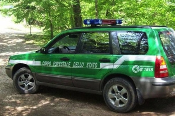 Corpo Forestale dello Stato