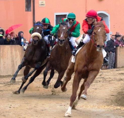 Cavalli in gara al Palio di Buti, nel Pisano