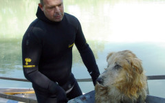 Il salvataggio di un cane da parte dei carabinieri sommozzatori