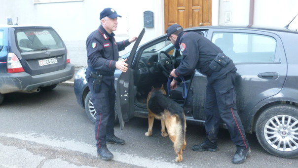 Carabinieri con cani antidroga