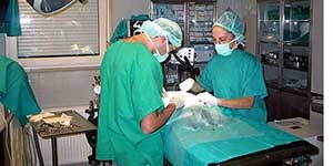 Sanità toscana: annunciato il taglio di medici e infermieri. In totale 1.500 persone. Obiettivo? Risparmiare 100 milioni in due anni
