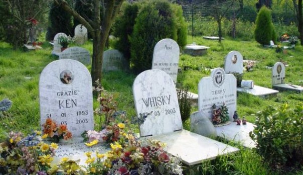 Un esempio di cimitero degli animali