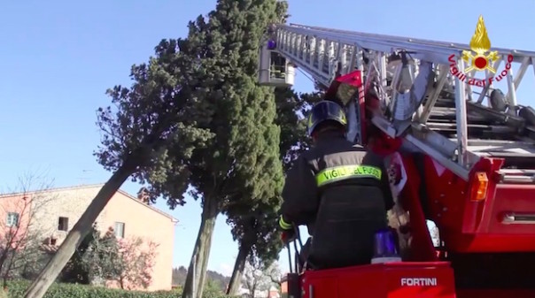 Vigili del Fuoco Autoscala