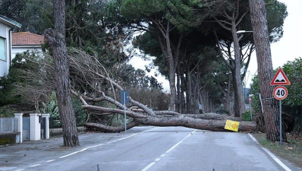 Maltempo, vento forte in provincia di Pisa. Calcinaia, un al