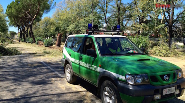 Danni nubifragio Firenze (Bellariva 2)