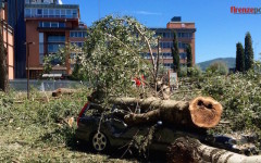 I danni del nubifragio d'inizio agosto, a Firenze