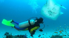 Un sub ha perso la vita durante un'immersione al largo di Calafuria