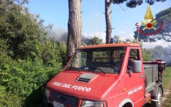 Fuoco nella pineta di Calambrone (Foto Vigili del Fuoco)
