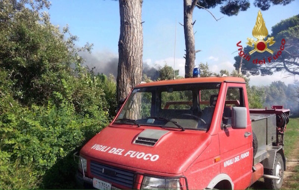 Fuoco nella pineta di Calambrone (Foto Vigili del Fuoco)