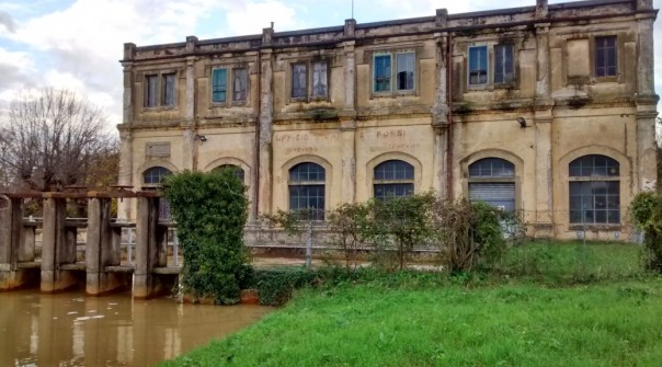 foto-coltano-1038x576