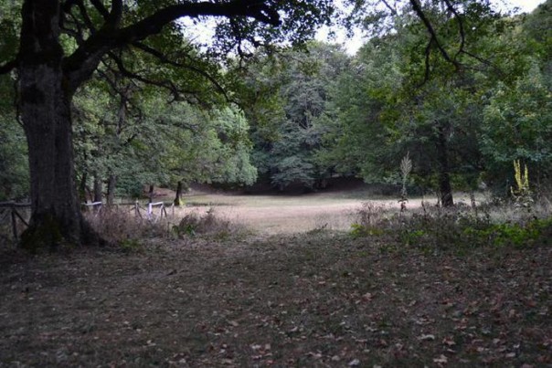 AMBIENTE: AL BOSCO DI PESCOCOSTANZO IL PREMIO SCARPA 2012