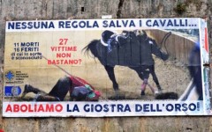 Pistoia, manifesto degli animalisti contro la Giostra dell'Orso