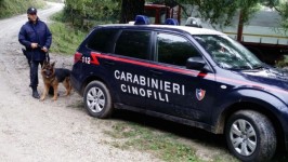 Unità cinofile dei carabinieri al lavoro