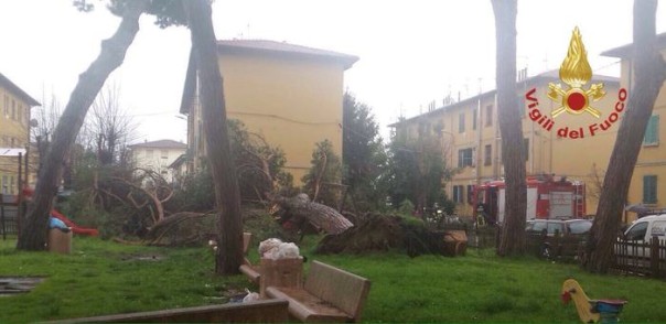 Albero cade su parco giochi
