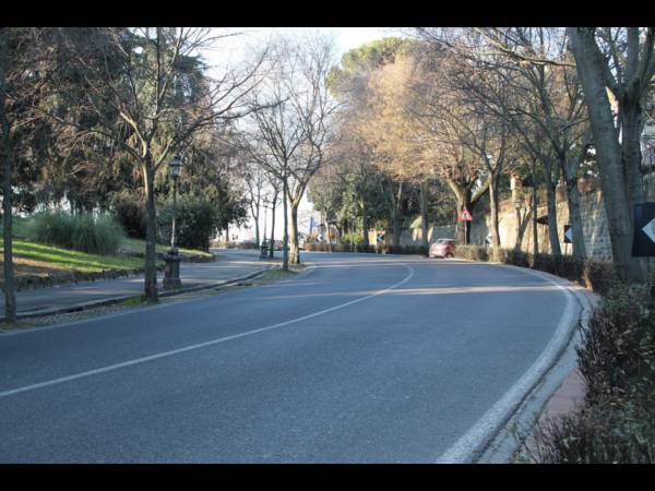 0002_Viale_Michelangelo.jpg_729600497