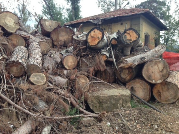 Maltempo: Anconella Firenze