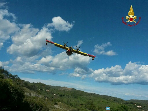 2016-07-15-PHOTO-00001143