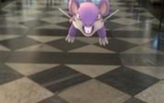 Pokemon Uffizi
