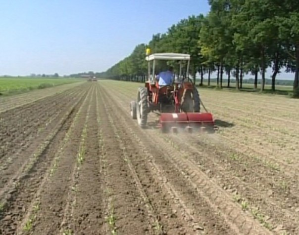 Agricoltura coltivazioni terreni campagna trattore