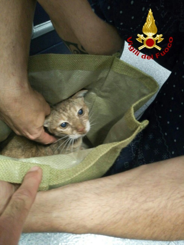 2016-08-10-PHOTO-00001476