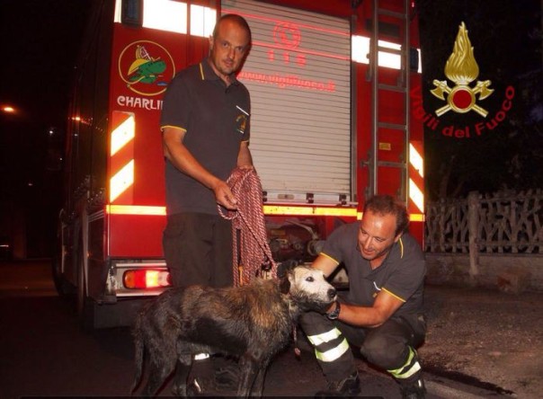 Cane salvato da vigili fuoco