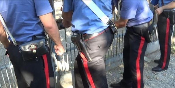 I carabinieri e il portavoce parlamentare M5S, Paolo Bernini, grazie al contributo dell'esperienza del movimento animalista Eital, hanno scoperto a Gessate, in provincia di Milano, 65 cani tenuti in strutture abusive e fatiscenti, cuccioli morti, fattrici con cuccioli tenuti al buio totale, senza acqua e cibo. MIlano, 29 luglio 2015. ANSA/EITAL +++ ANSA PROVIDES ACCESS TO THIS HANDOUT PHOTO TO BE USED SOLELY TO ILLUSTRATE NEWS REPORTING OR COMMENTARY ON THE FACTS OR EVENTS DEPICTED IN THIS IMAGE; NO ARCHIVING; NO LICENSING +++