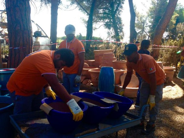 Incendi: Migranti a lavoro in vivaio a Principina