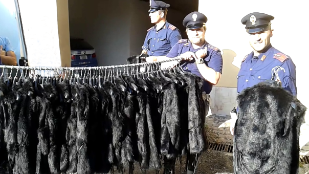 arezzo-giubbetti-foto-1