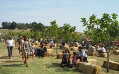 rural-festival-in-emilia-2