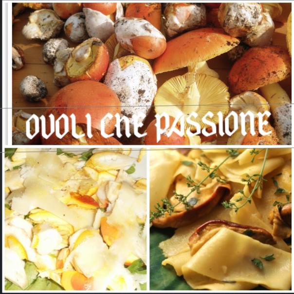 ovoli-che-passione