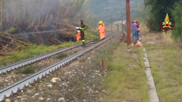 2016-10-12-photo-00001995