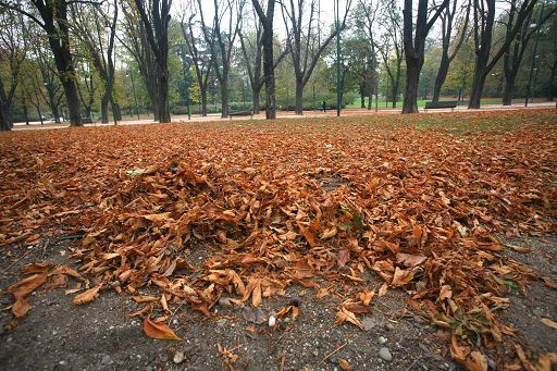 Meteo/L'autunno arriva a metà settimana