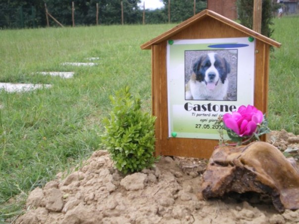 Un lapide in un cimitero per animali