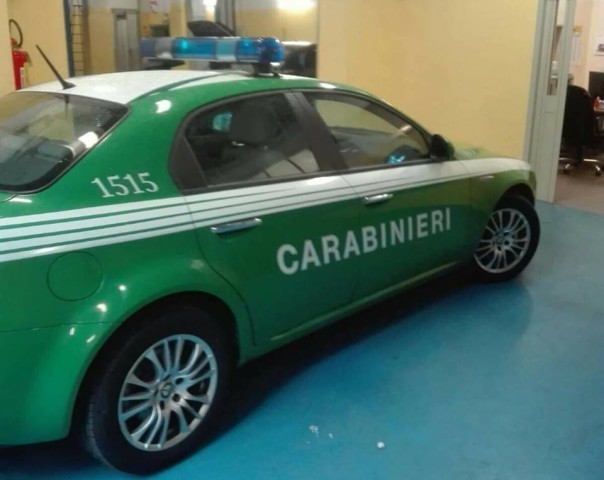 auto-carab