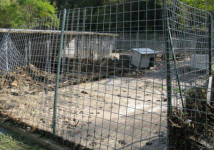 MALTEMPO: CANILI DISTRUTTI, CORSA CONTRO TEMPO PER SALVARE ANIMALI