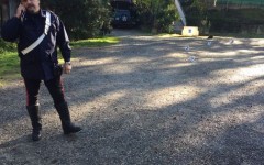 Entreneuse travolta e uccisa nel Senese