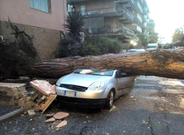 A tree fell on a car due to the tornado that hit Ladispoli, 50 km north of Rome, Italy, 06 November 2016. ANSA/ALESSIO CAMPANA