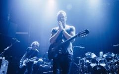 sting-3