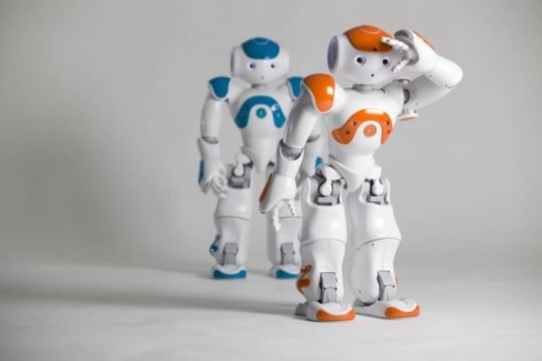 Robot umanoidi a Pisa